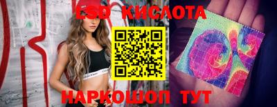 индика Заволжье