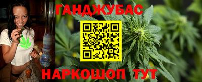 индика Заволжье