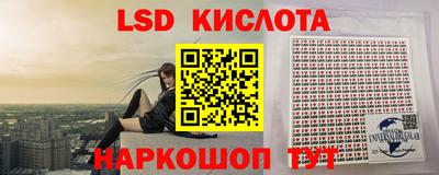индика Заволжье