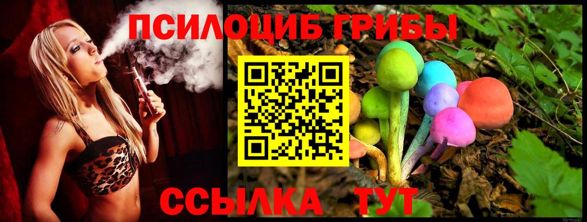 Галлюциногенные грибы прущие грибы Глазов