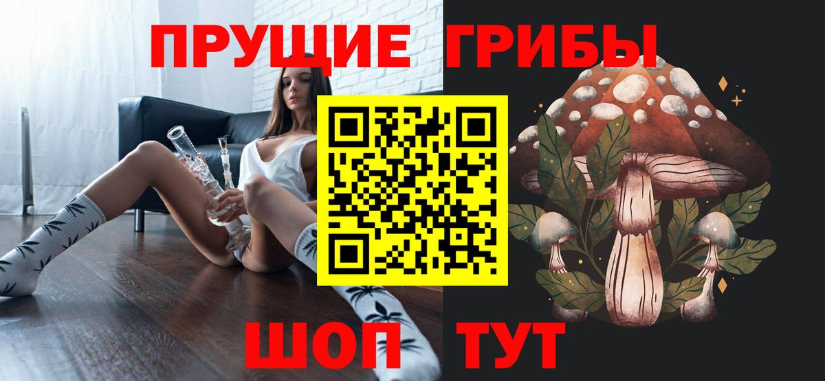Псилоцибиновые грибы Cubensis  Вход с VPN  Глазов 
